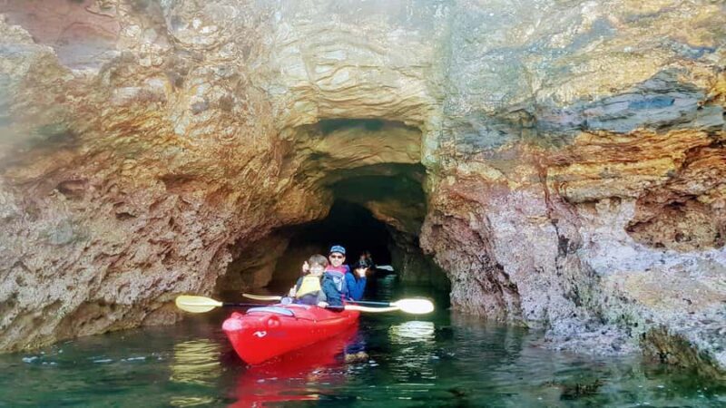 Akaroa: Guided Sunrise Sea Kayaking Tour - Final Thoughts