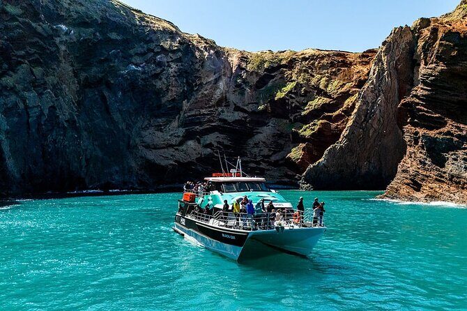 Akaroa Harbour Nature Cruise - Final Thoughts
