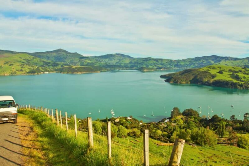 Akaroa: Pohatu Penguins Scenic Nature 2-Hour or 4-Hour Tour - Key Points