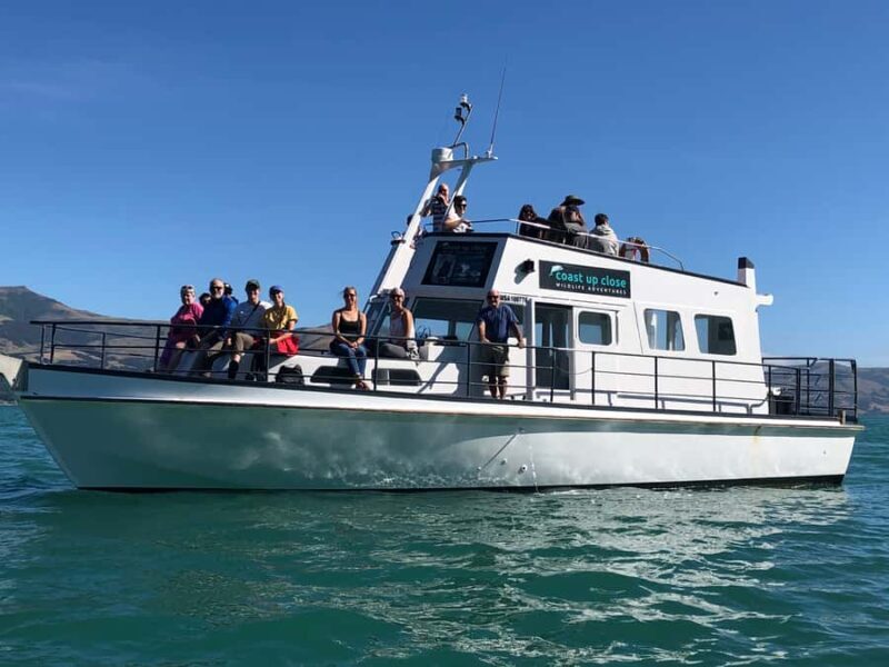 Akaroa: Scenic Coastline Wildlife Cruise - The Value and Price Point