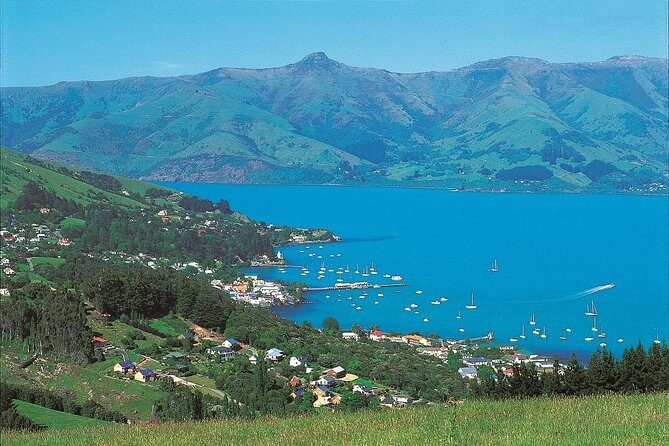 Akaroa Shore Excursion: Akaroa Harbour and Sheep Farm Local Tour - The Itinerary in Detail: What You Can Expect