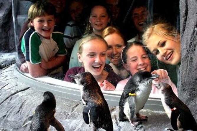 Akaroa Shore Excursion: Banks Peninsula, Christchurch City Tour and the International Antarctic Centre - Final Thoughts