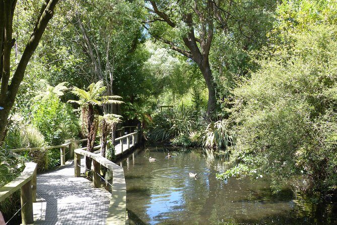 Akaroa Shore Excursion: Banks Peninsula, Christchurch City Tour and Willowbank Wildlife Reserve - The Sum Up