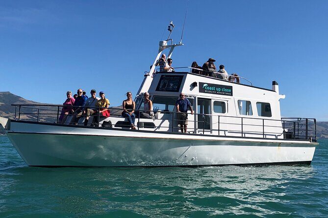 Akaroa Wildlife Cruise - Key Points