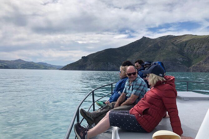 Akaroa Wildlife Cruise - An In-Depth Look at the Akaroa Wildlife Cruise