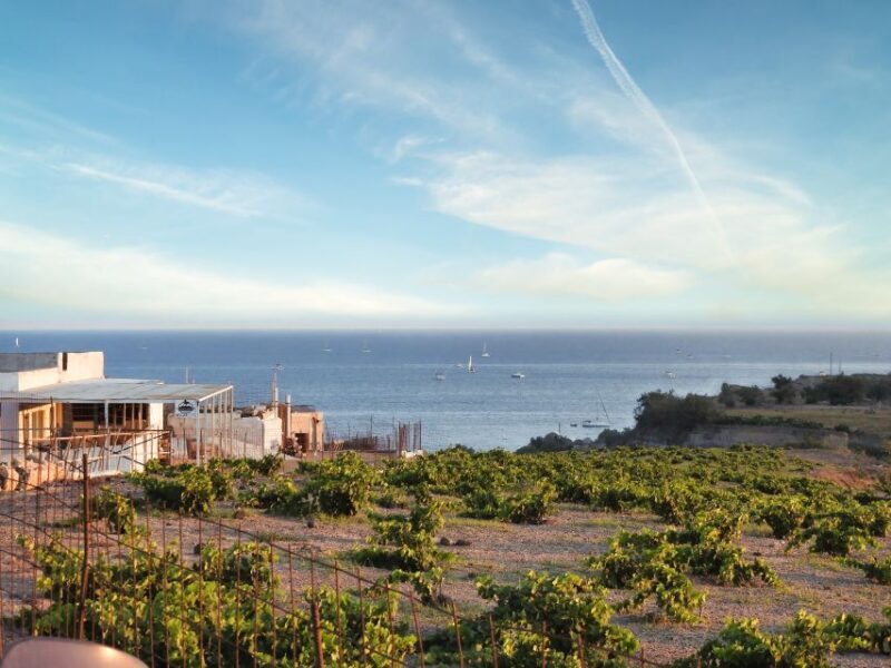 Akrotiri: Guided Horseback Riding Day Trip to a Beach - An Honest Look at the Tour