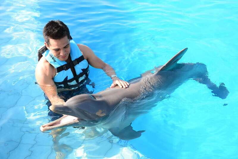 Akumal: Dolphin Encounter - The Setting and Environment