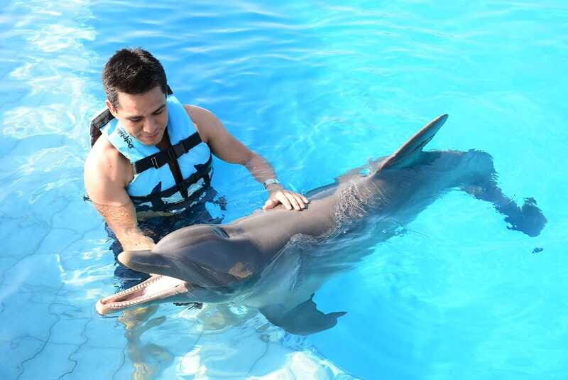 Akumal: Dolphin Encounter - What’s Included and What’s Not?