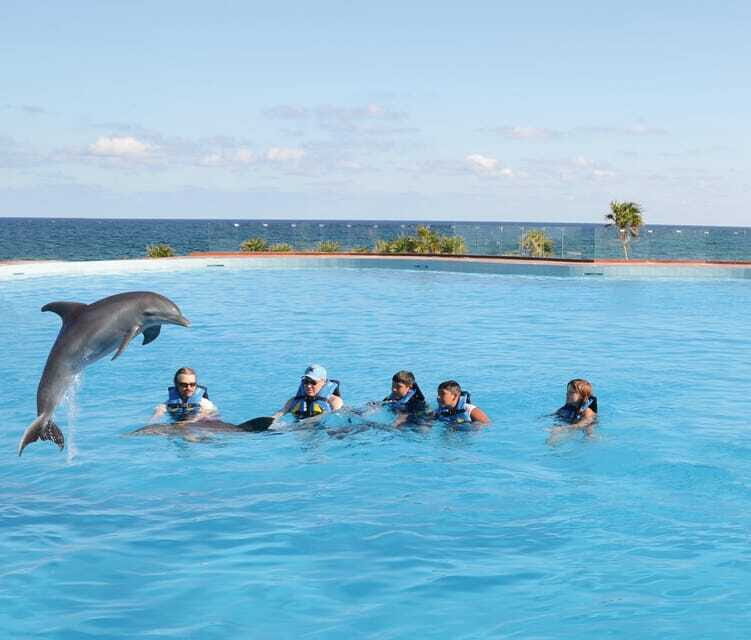 Akumal: Dolphin Encounter - What Do Travelers Say?