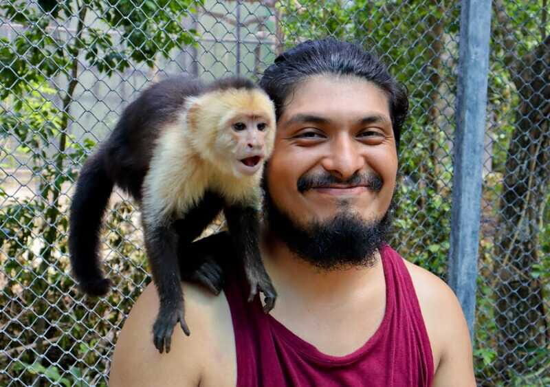 Akumal: Explore the Monkey Sanctuary, ATV Circuit and Cenote - An In-Depth Look at the Akumal Experience