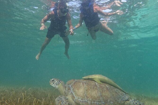 Akumal : Guided Snorkeling with Green Turtles and Corals - What the Tour Isn’t