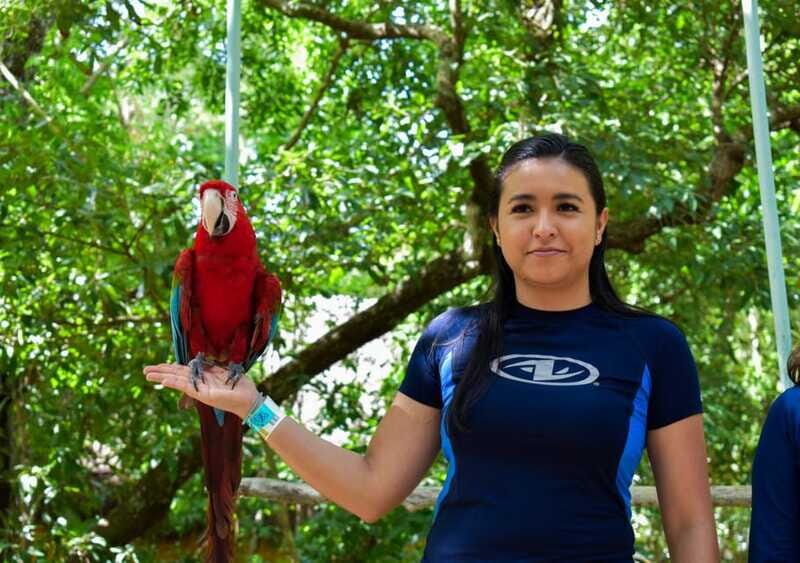 Akumal: Monkey Sanctuary, ATV, Cenote, & Yalku Snorkel Tour - Breaking Down the Experience