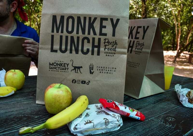 Akumal: Monkey Sanctuary, ATV, Cenote, & Yalku Snorkel Tour - Final Thoughts