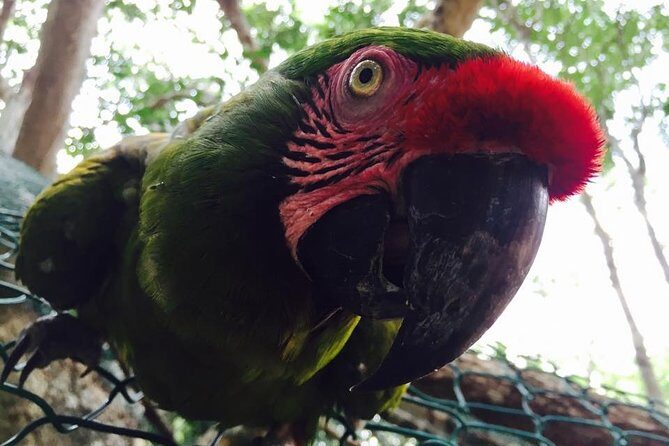 Akumal Monkey Sanctuary - Final Thoughts: Is It Worth It?