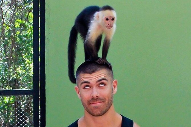 Akumal Monkey Sanctuary - FAQs