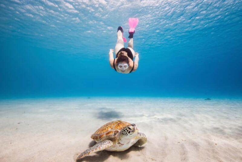 Akumal: Snorkeling Adventure with Turtles and Marine Life - What Makes This Tour Stand Out?