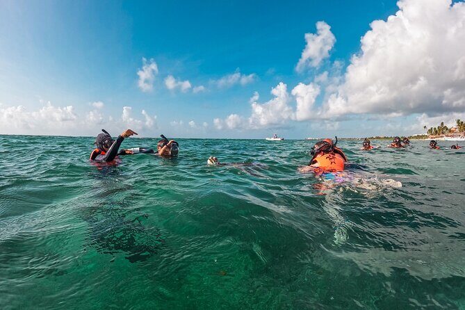 Akumal Snorkeling With Turtles - What to Expect from the Akumal Snorkeling With Turtles Tour