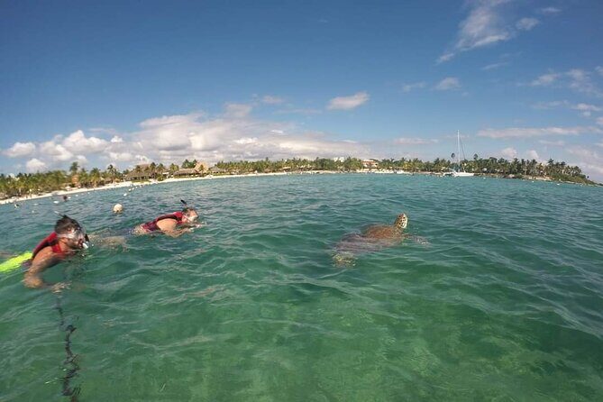 Akumal turtles sanctuary and go pro photos - Who Will Love This Tour?