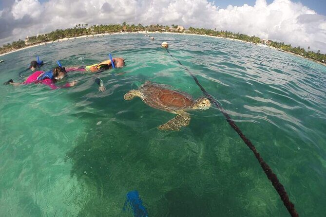 Akumal turtles sanctuary and go pro photos - Final Thoughts