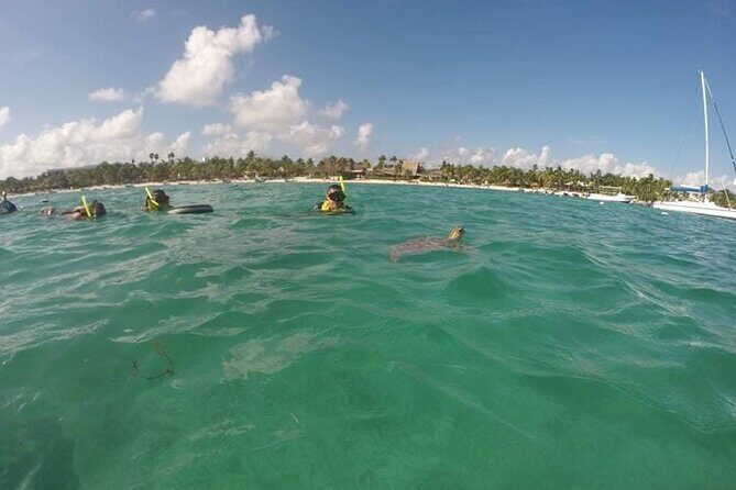 Akumal turtles sanctuary and go pro photos - FAQ