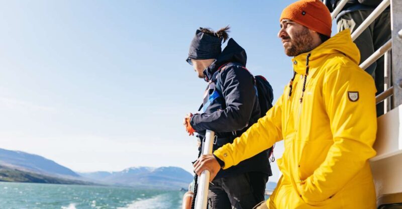 Akureyri: 3-Hour Classic Whale Watching Tour by Ship - A Deep Dive into the Whale Watching Experience in Akureyri
