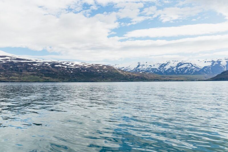 Akureyri: 3-Hour Classic Whale Watching Tour by Ship - FAQs About the Akureyri Whale Watching Tour