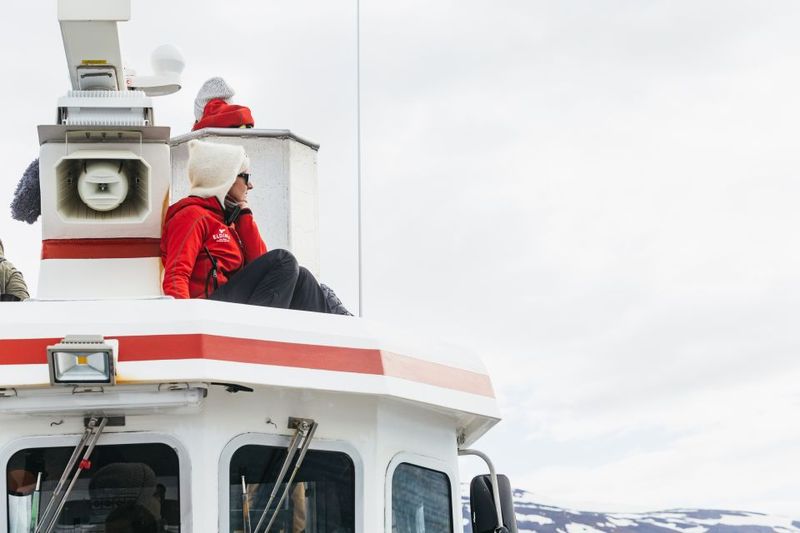 Akureyri: 3-Hour Classic Whale Watching Tour by Ship - Whale spotting with trained guides: why their job matters