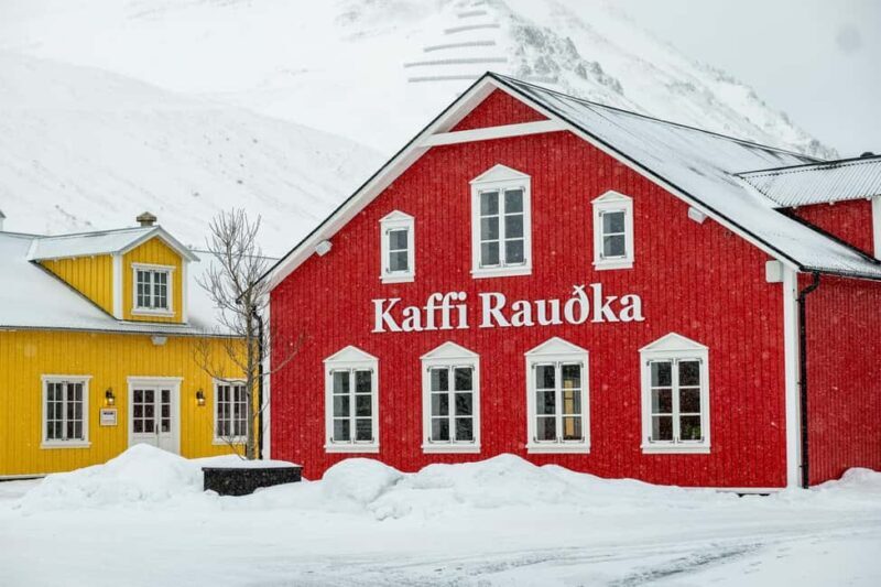 Akureyri: Arctic Coastline & Siglufjörður - Who Should Consider This Tour?