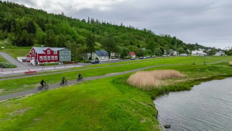 Akureyri: E-Bike Tour with Forest Lagoon Entry - What’s Included and How It Adds Value