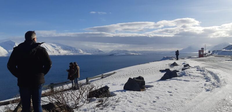 Akureyri-Siglufjörður; Half day to the arctic coastline - Exploring Iceland’s Arctic Coastline: A Practical Review of the Akureyri-Siglufjörður Half-Day Tour