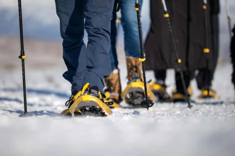 Akureyri: Snowshoe Hiking Tour with Guide - An Honest Look at the Snowshoe Hiking Tour