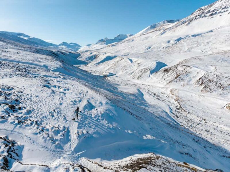 Akureyri: Snowshoe Hiking Tour with Guide - Final Thoughts