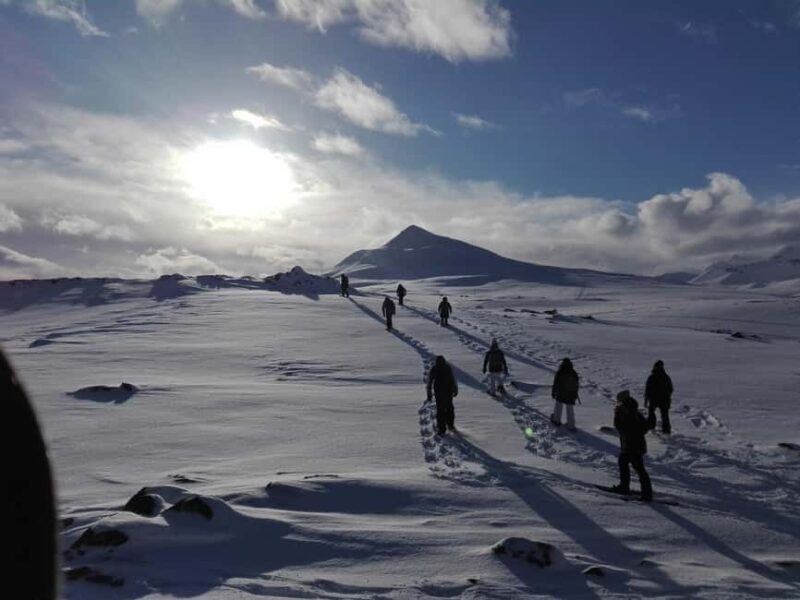 Akureyri: Snowshoeing with The Traveling Viking - Key Points