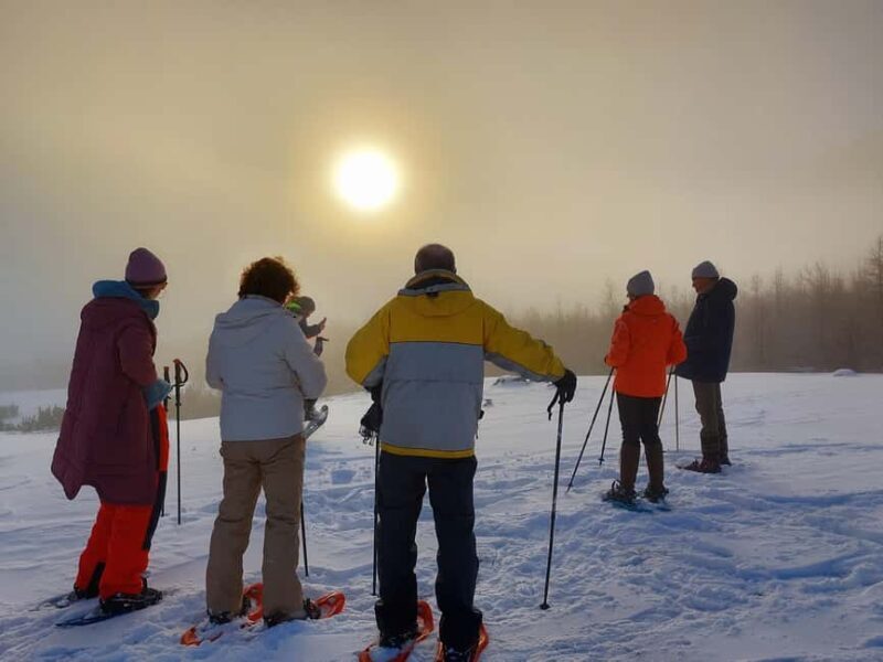 Akureyri: Snowshoeing with The Traveling Viking - Discovering Iceland’s Snowy Wilderness in Akureyri