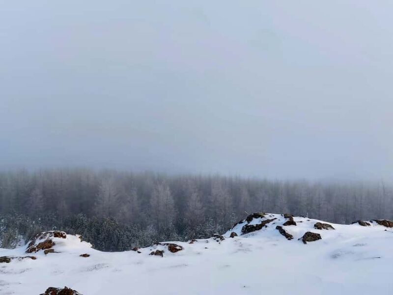 Akureyri: Snowshoeing with The Traveling Viking - What to Expect During the Tour