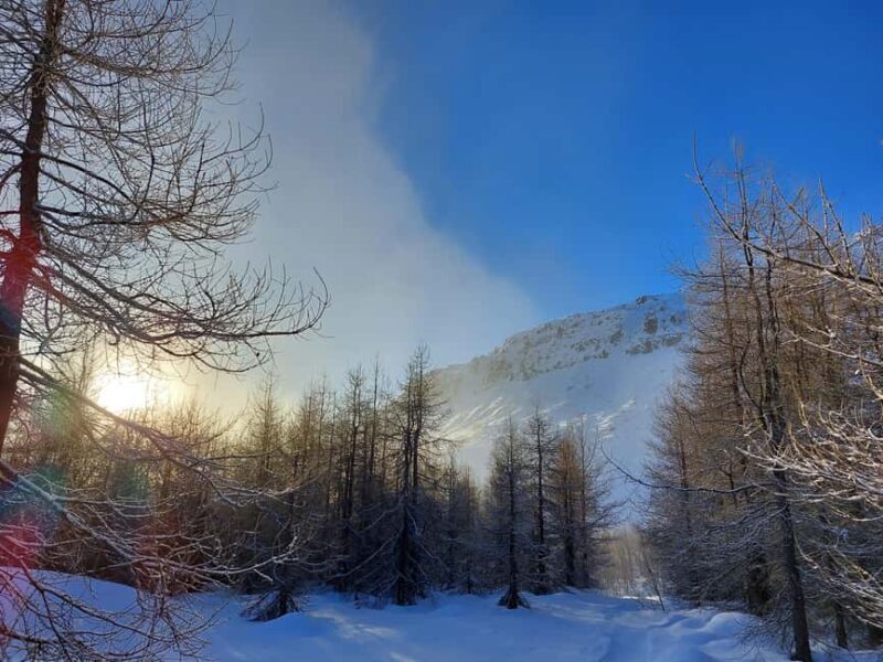 Akureyri: Snowshoeing with The Traveling Viking - The Value: Is It Worth It?