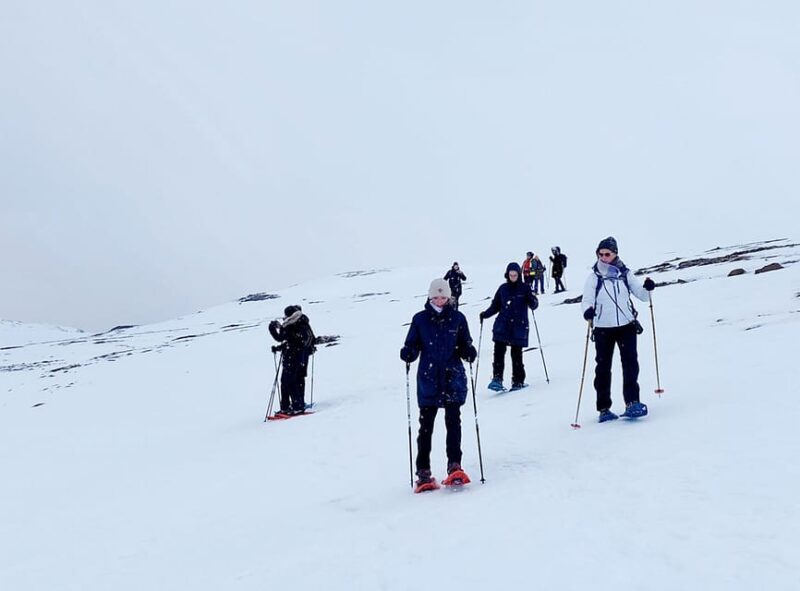 Akureyri: Snowshoeing with The Traveling Viking - The Experience in Practice: What Travelers Say