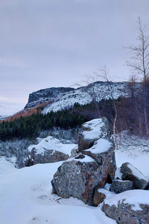 Akureyri: Snowshoeing with The Traveling Viking - Practical Tips for Your Snowshoeing Adventure