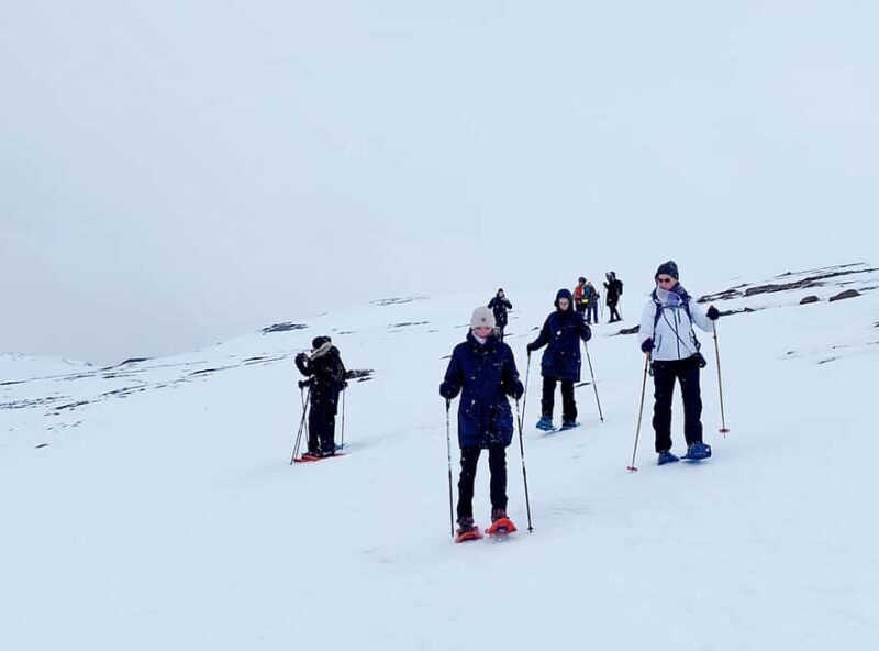 Akureyri: Snowshoeing with The Traveling Viking - Who Should Consider This Tour?