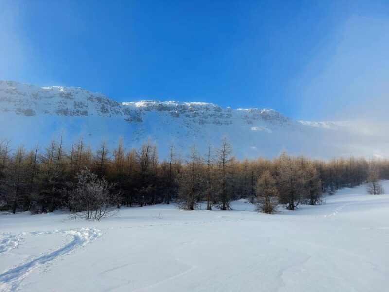 Akureyri: Snowshoeing with The Traveling Viking - FAQs