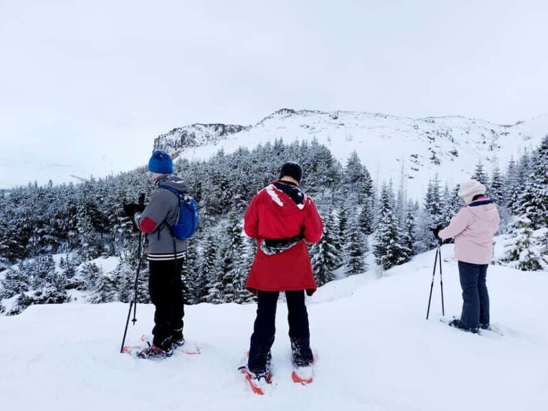 Akureyri: Snowshoeing with The Traveling Viking - Final Thoughts