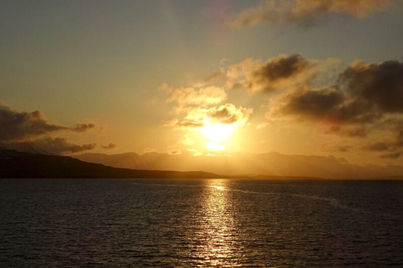 Akureyri: Whale Watching in the Midnight Sun - The Sightings & the Reality