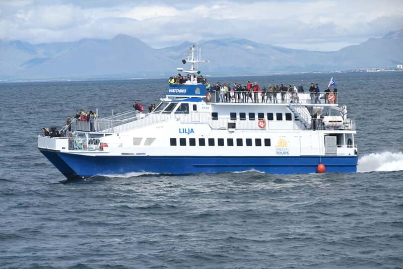 Akureyri: Whale Watching Shore Excursions - Reviews: Real Experiences