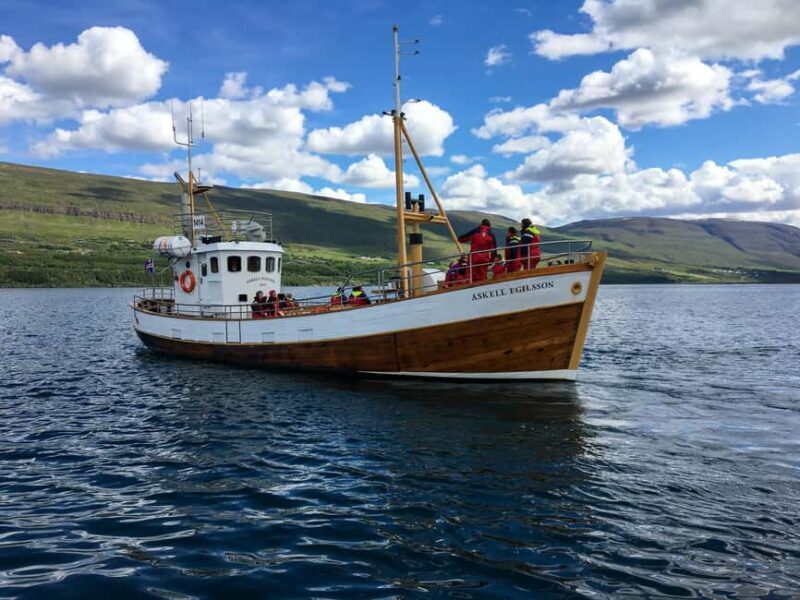 Akureyri: Whale Watching Tour with Transfer from Port - Key Points