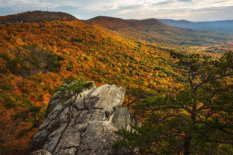 Alabama: 3-Day East Alabama Family Fun Multi-Attraction Pass - Key Points