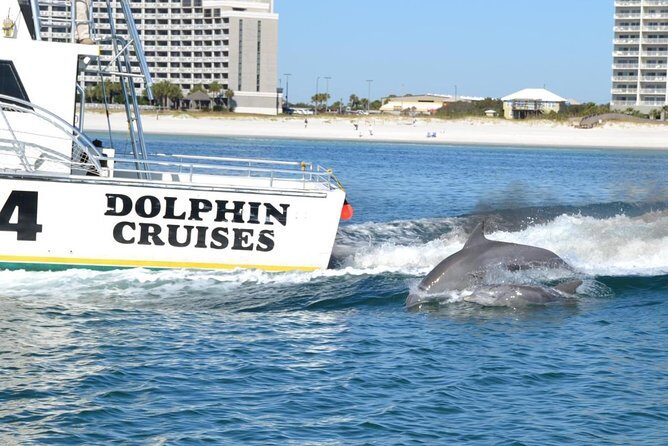 Alabama Gulf Coast Dolphin Cruise - FAQs