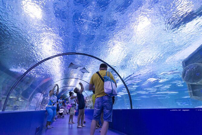 Alanya: Aquarium, Wax Museum, Snow World, Wild Park, XD Cinema - Who Will Love This Tour?