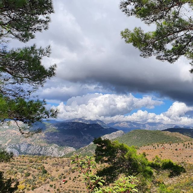 Alanya Family Jeep Safari: Scenic Adventure for All Ages - A Detailed Look at the Jeep Safari Experience