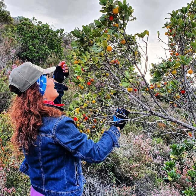 Alanya: Full-Day City Tour with Cable Car,Dimçay & Boat Trip - Key Points