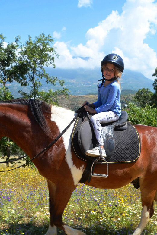 Alanya: Horse Riding Club Transfer Service - What to Expect From the Horse Riding Experience